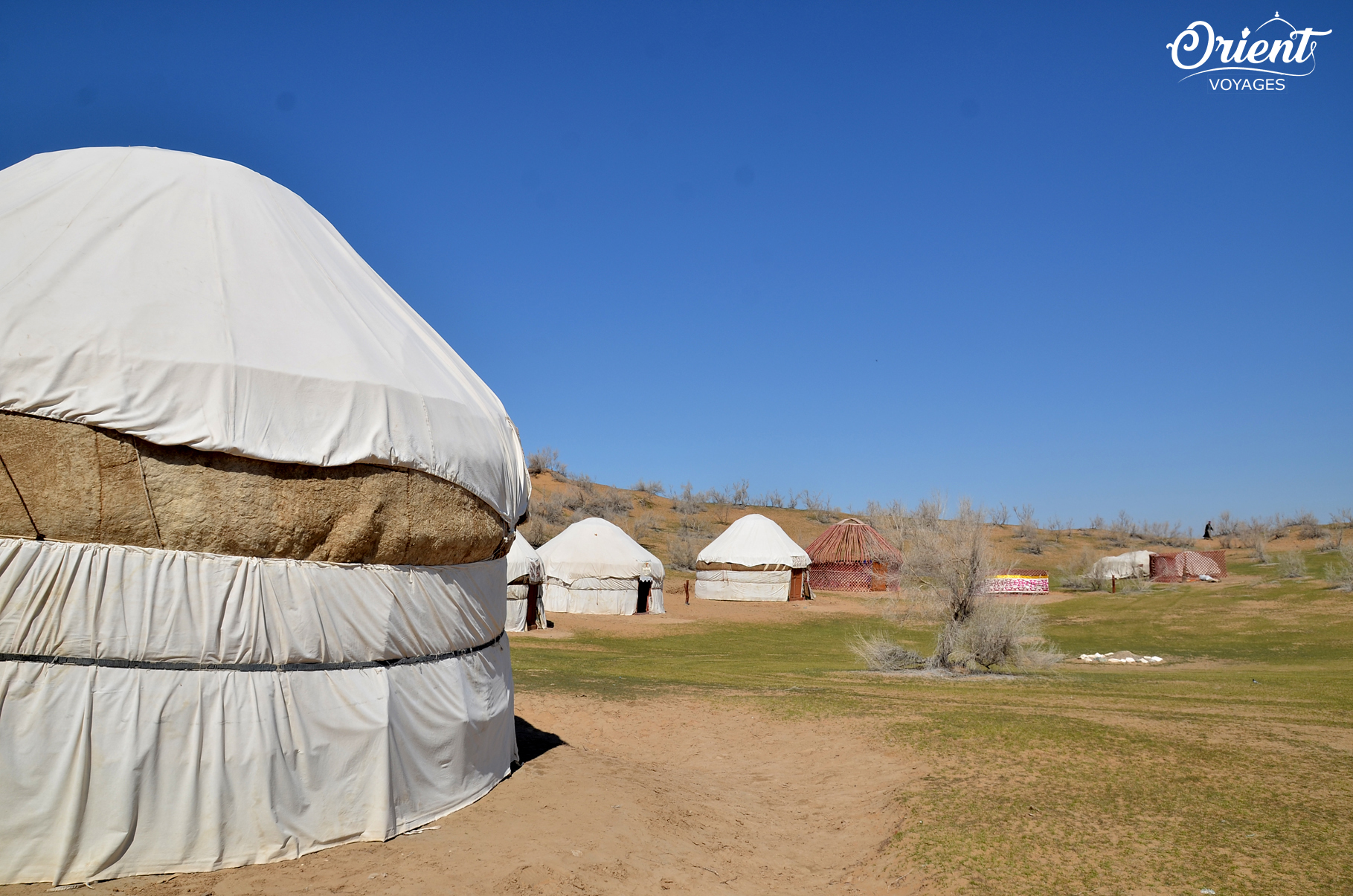 Yurt camp